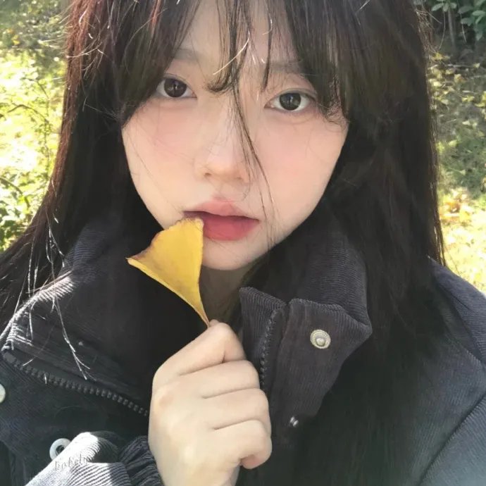 野鸭变凤凰3
