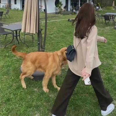摩根与命运的约会